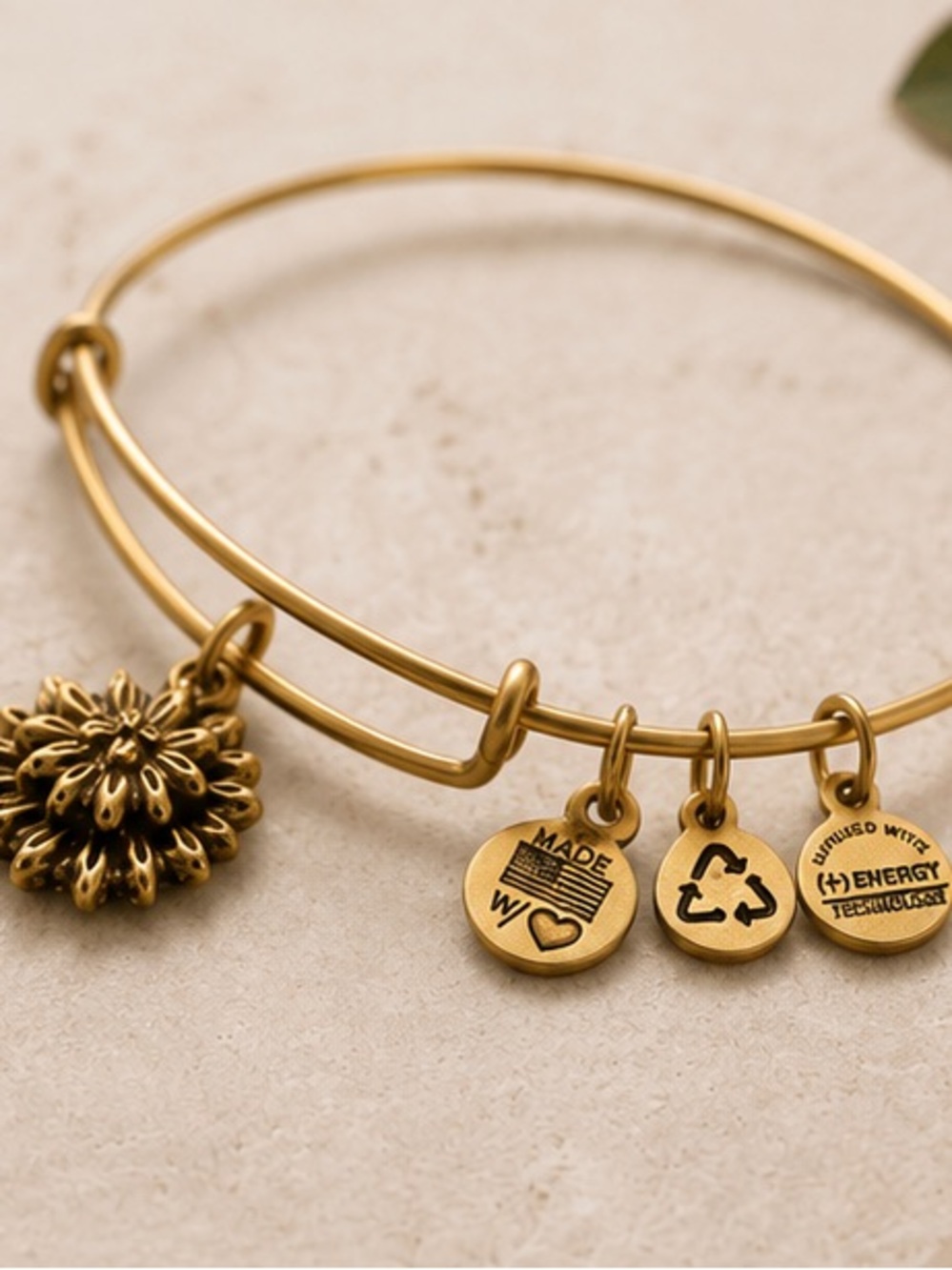 Alex and Ani Water Lily Burst Charm Bangle – Gold Tone